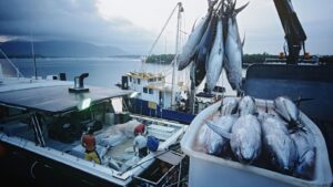 fishing boat selection, best fishing boats, fishing boat budget tips, fishing boat style guide, fishing boat types, fishing boat buying guide, fishing boat reviews, saltwater fishing boats, freshwater fishing boats, fishing boat location tips