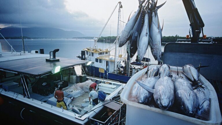 fishing boat selection, best fishing boats, fishing boat budget tips, fishing boat style guide, fishing boat types, fishing boat buying guide, fishing boat reviews, saltwater fishing boats, freshwater fishing boats, fishing boat location tips