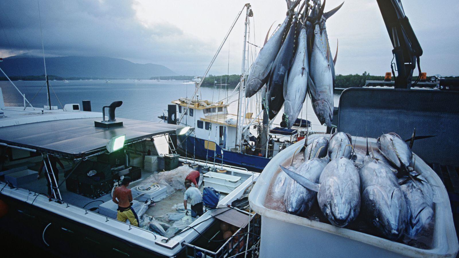 fishing boat selection, best fishing boats, fishing boat budget tips, fishing boat style guide, fishing boat types, fishing boat buying guide, fishing boat reviews, saltwater fishing boats, freshwater fishing boats, fishing boat location tips